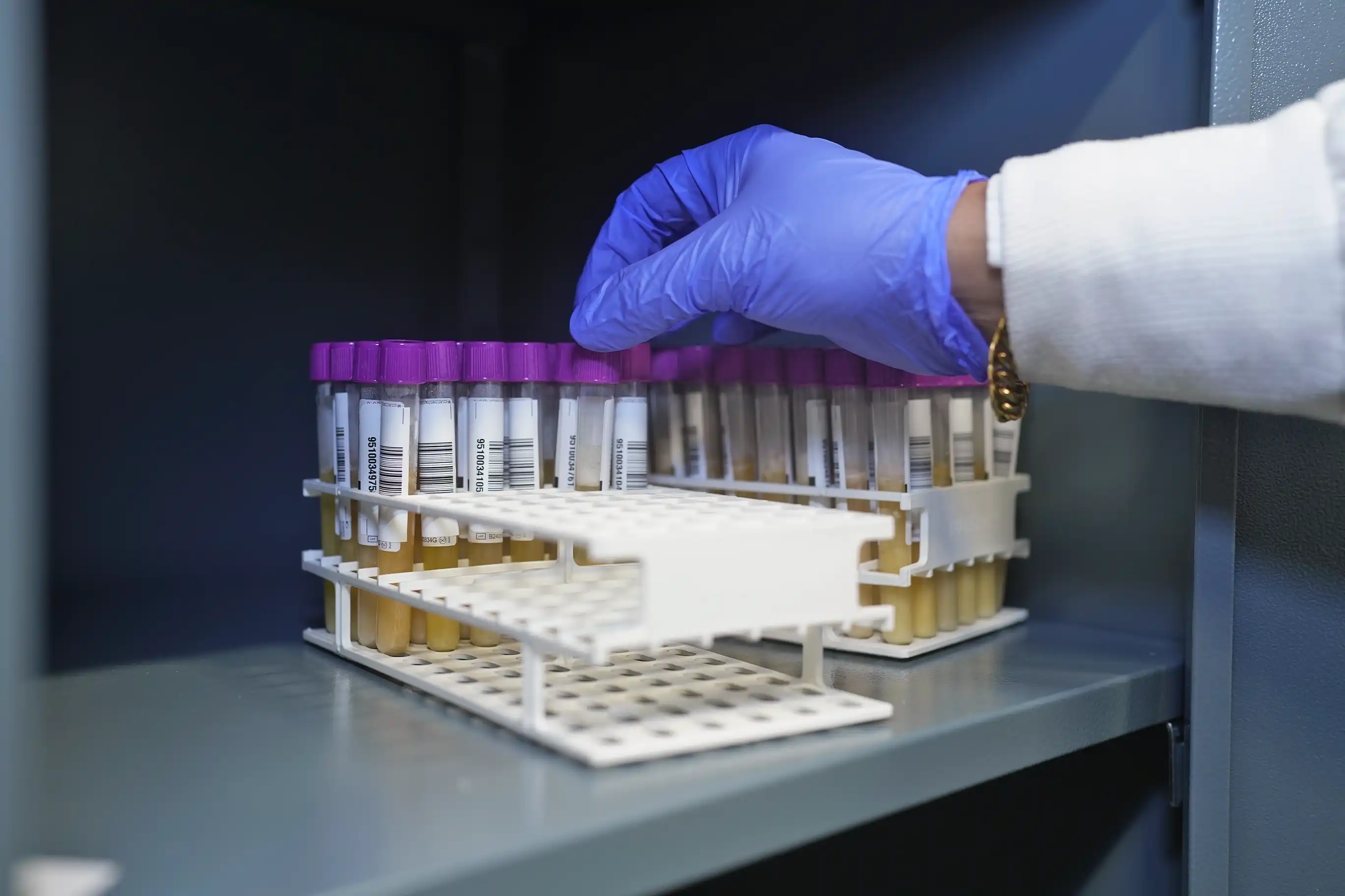 Personal de salud organiza cuidadosamente tubos de plasma en una nevera de almacenamiento.